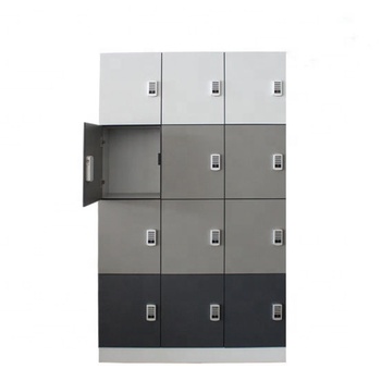 Gym Locker - 12 Lockers